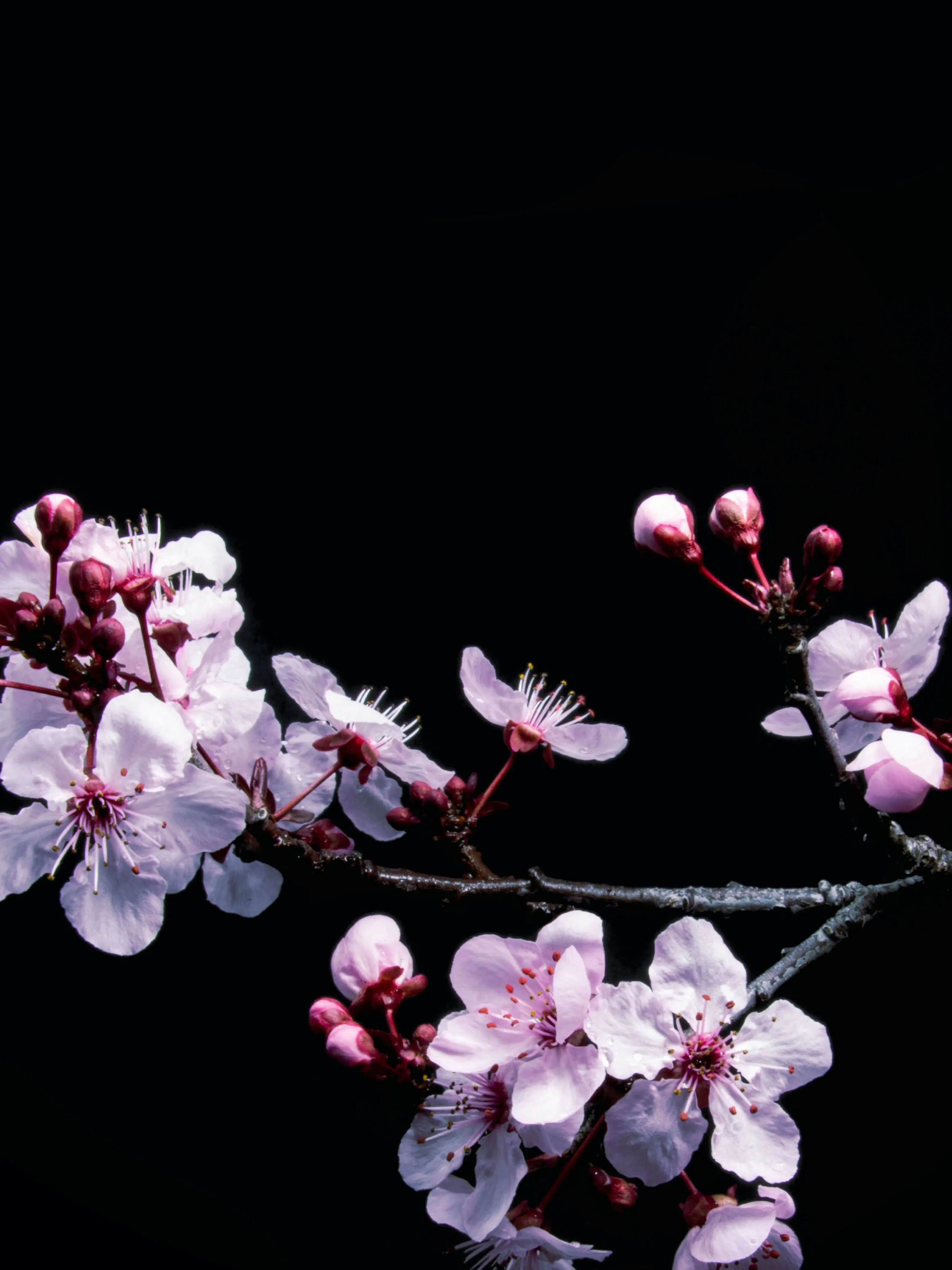 jk7의 ⛪ 넌 그 무엇으로도 해칠 수 없어