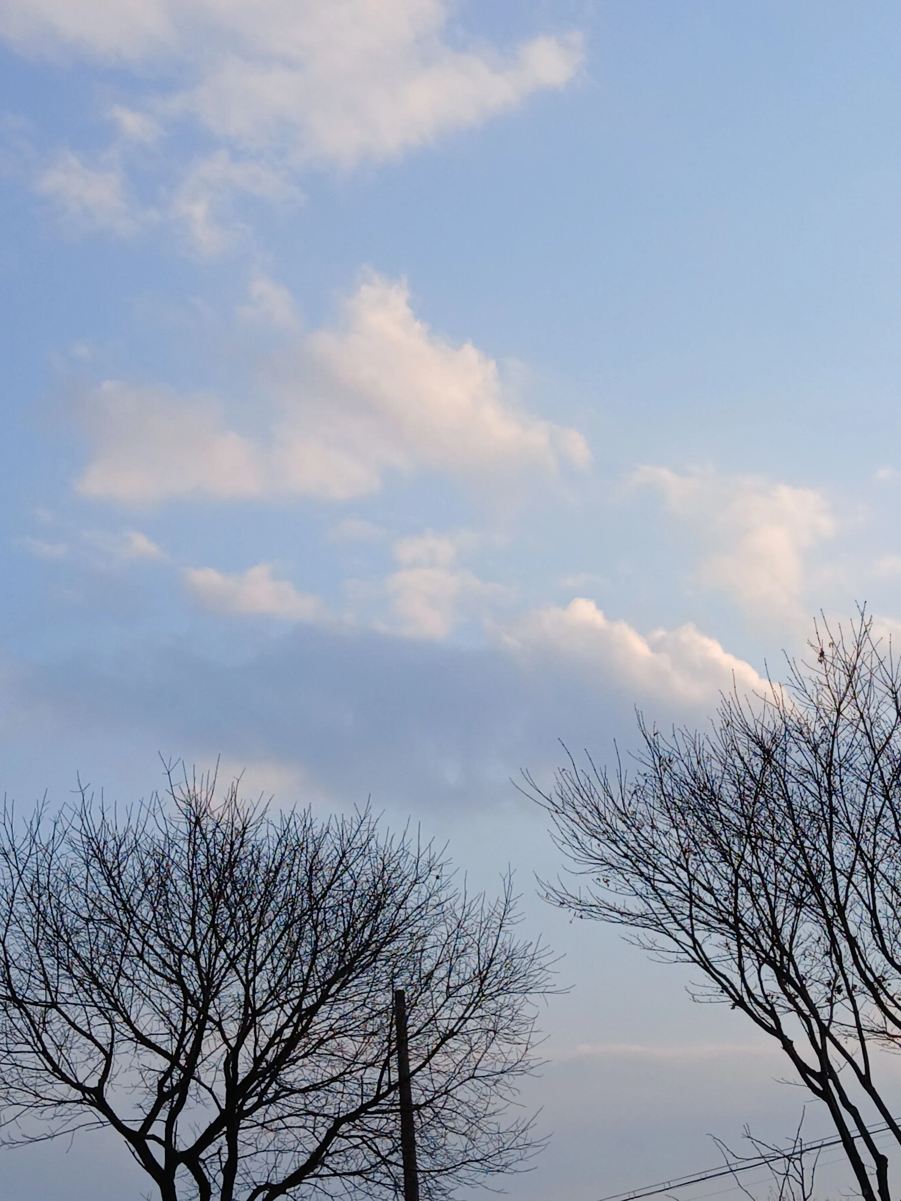 just_person2010의 데이트 w.감사장