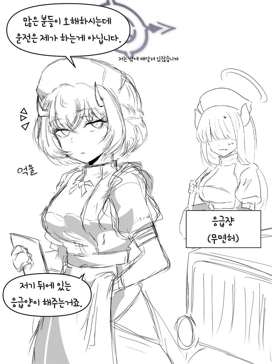 Mayonnais의 응급의학부