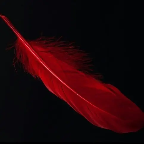 Fxxkinhellllll의 닭날개 사장놈이 날 갈구는걸 즐긴다