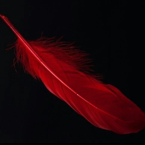 닭날개 사장놈이 날 갈구는걸 즐긴다