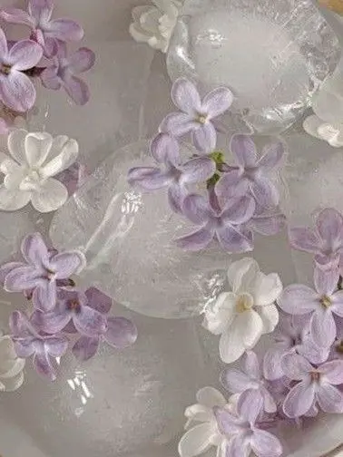 ISTJ0929의 호시나 소우시로