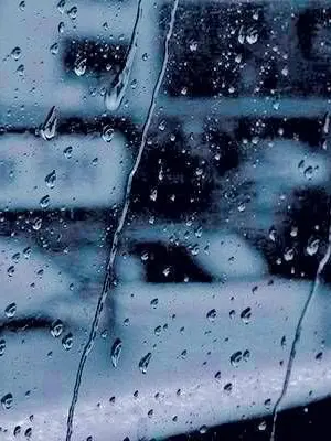 zutuu의 叶わぬ恋だって構わない