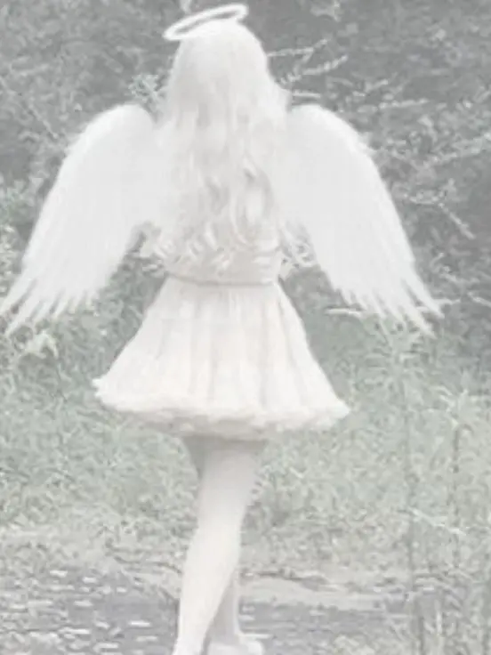 Daylighttly의 바람에 날려 꽃이 지는 계절엔