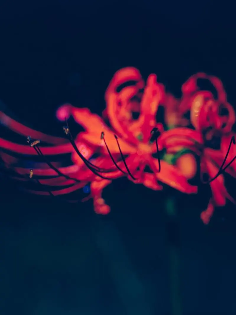 Rainy__0110의 血をくださいな。