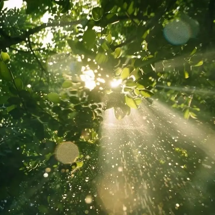 jungugugaga의 金基明 & 徐晟恩