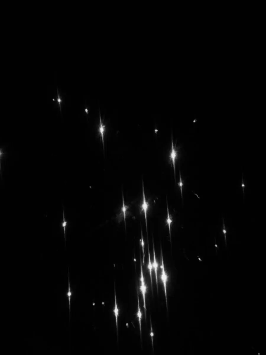 BrashViper3819의 君と蛍光灯