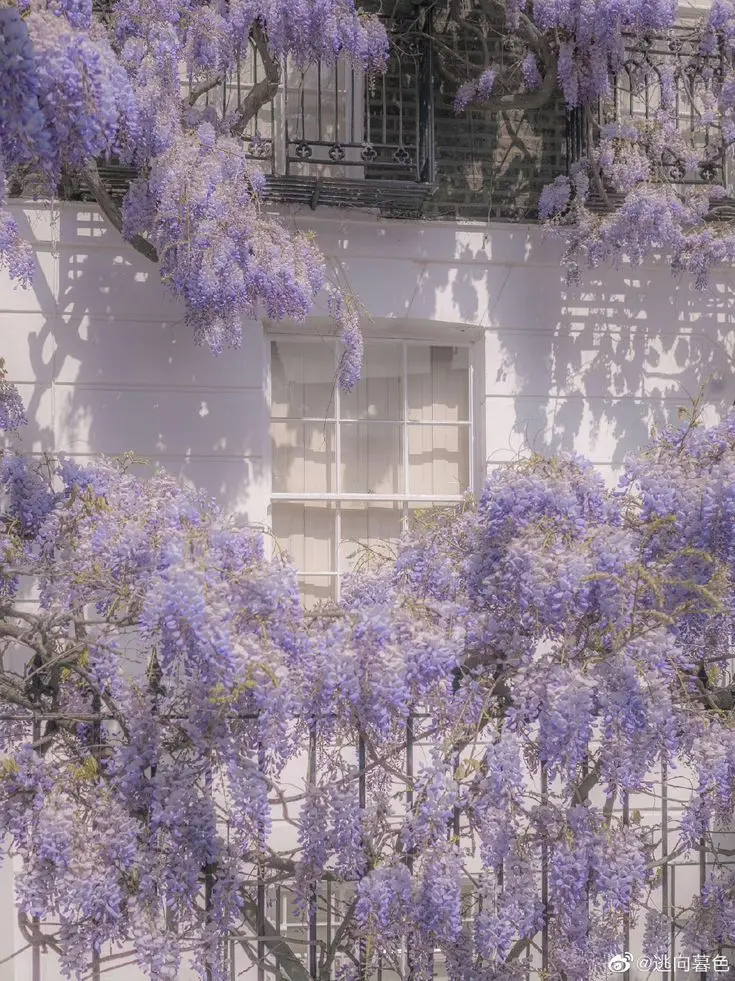 gonggong_99의 저 옆집 오빠한테 반한 것 같애요..