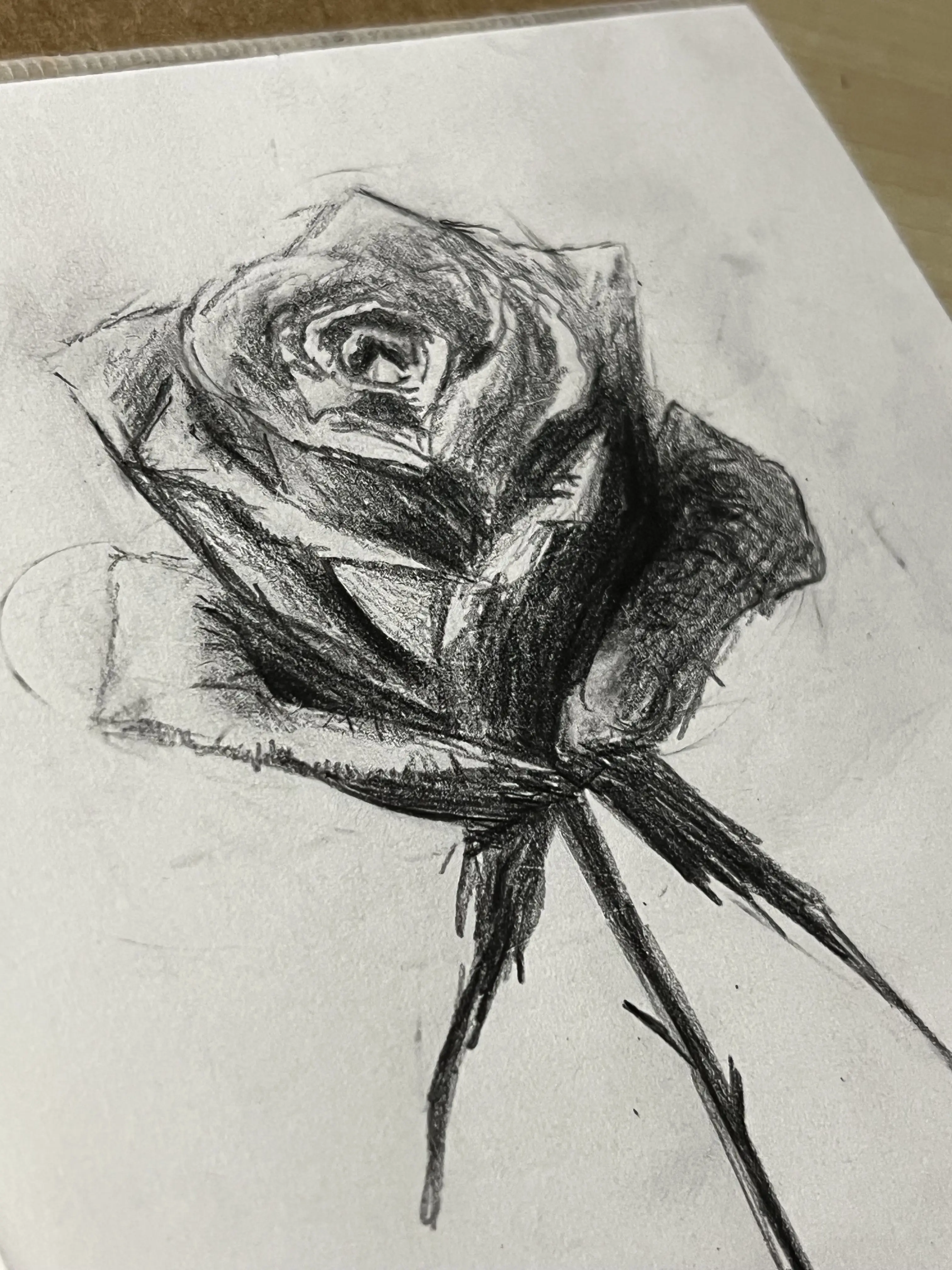 chanismine의 방찬