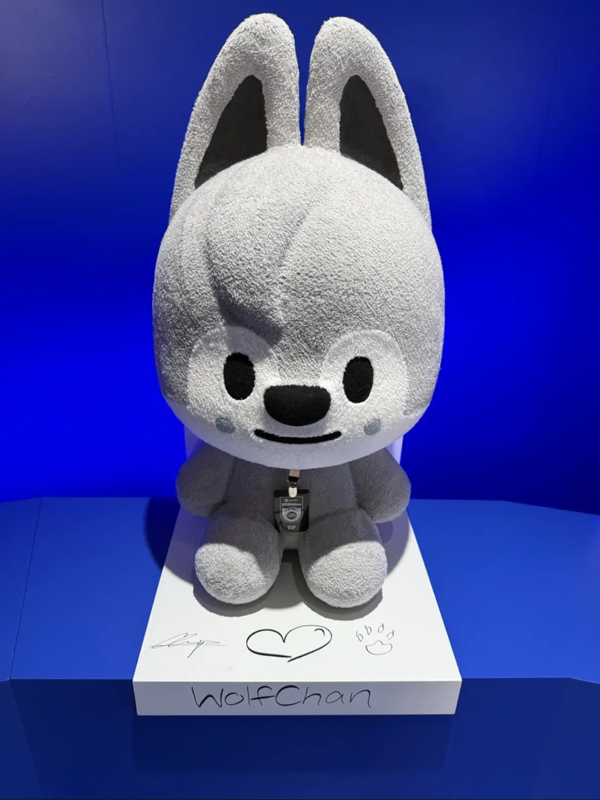 changbinwife의 방찬