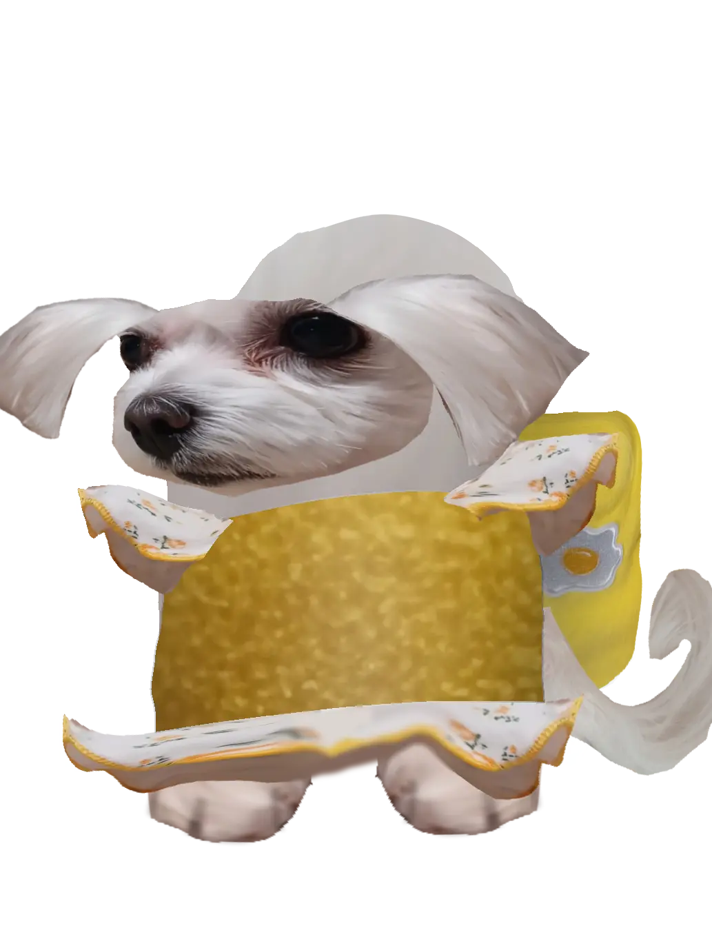 Ash3r_has_died의 별이