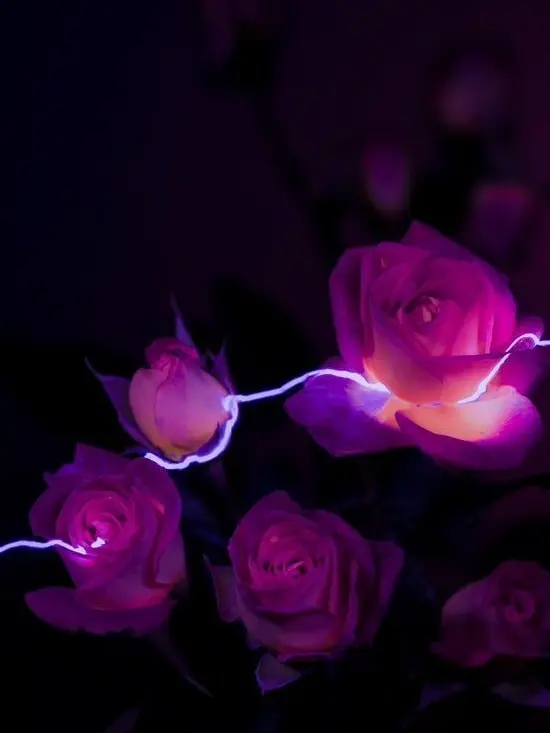 sugarung의 ☆언더웹 [UNDER WEP]☆