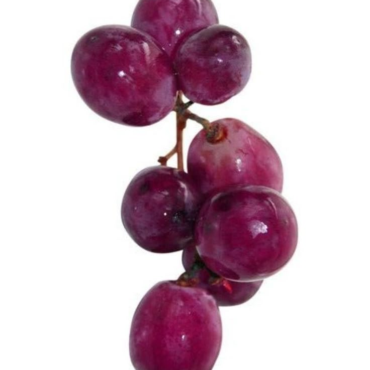 학번 이름 대세요. 대표 이미지