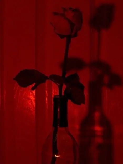 RunnyJazz6634의 조직의 보스 남편