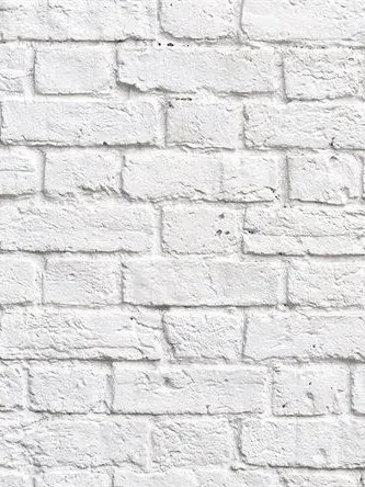 AbsurdFork4706의 誘拐犯とあなた