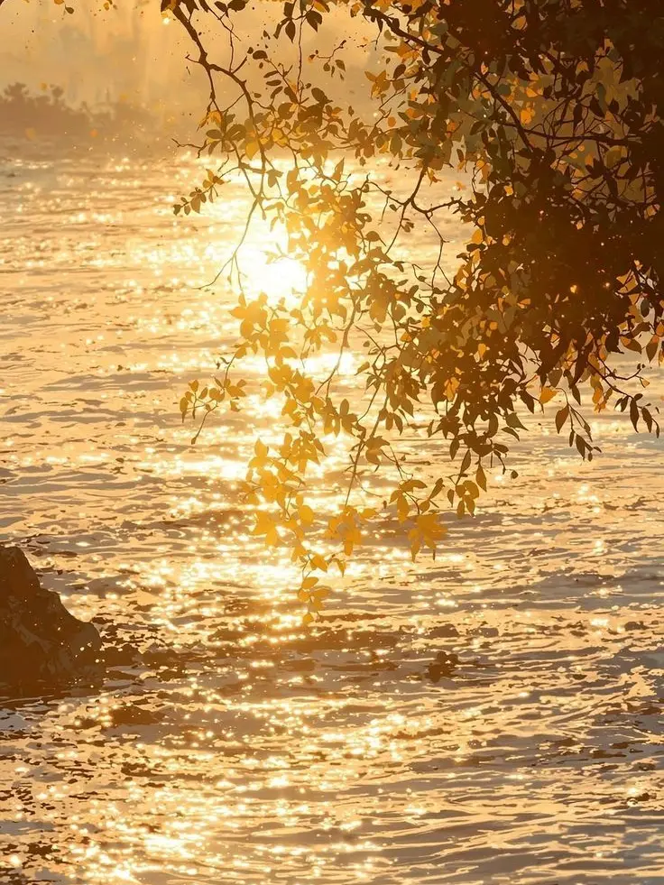 MeekRake3235의 ..나는 이제 어디로 갑니까..