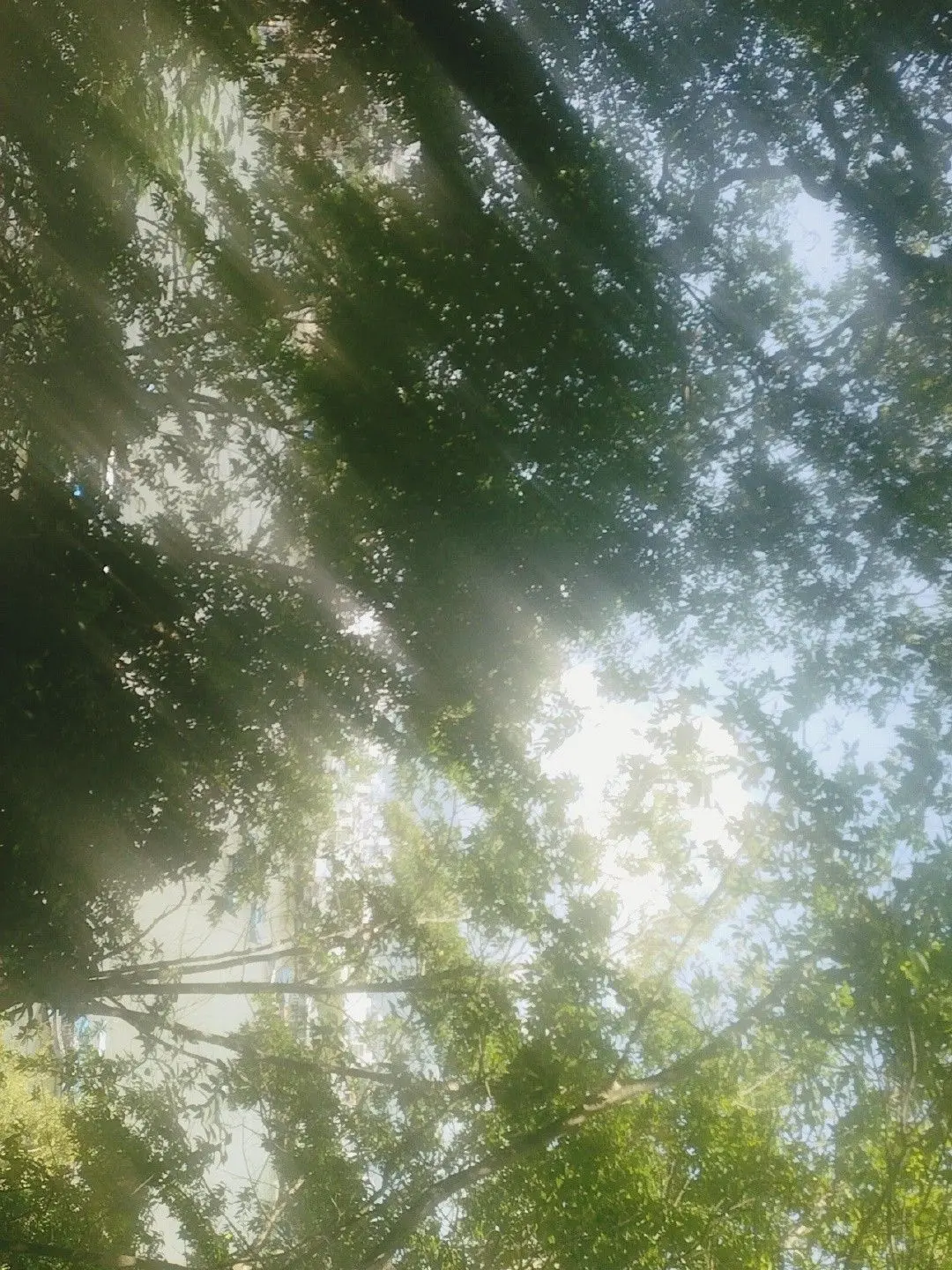 GoodNiece4490의 ふざけた生活は続くさ