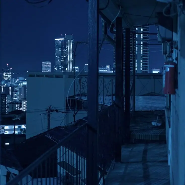 Da_s.om2의 블랙드래곤