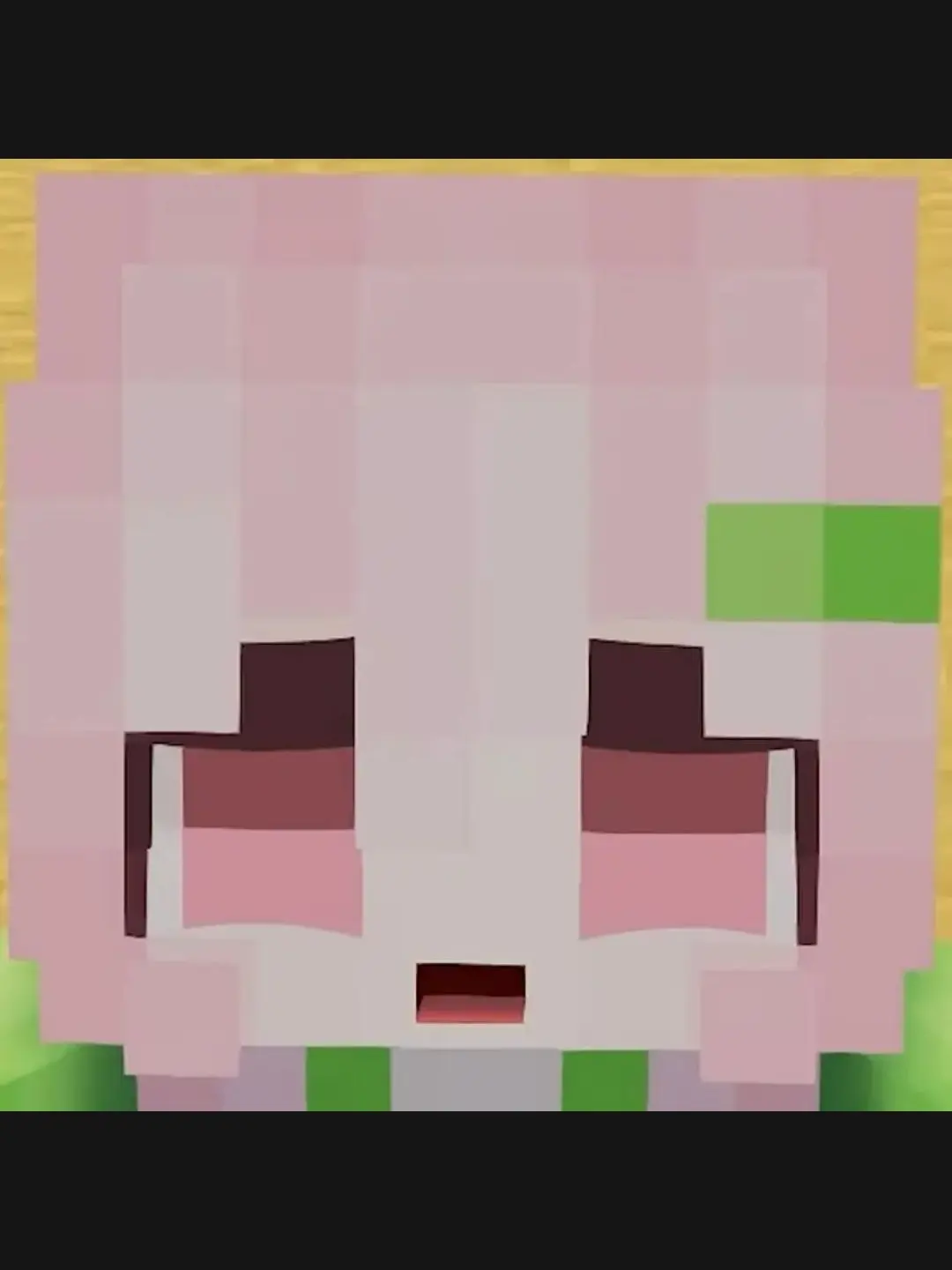 ROHEE823의 범이요세계관