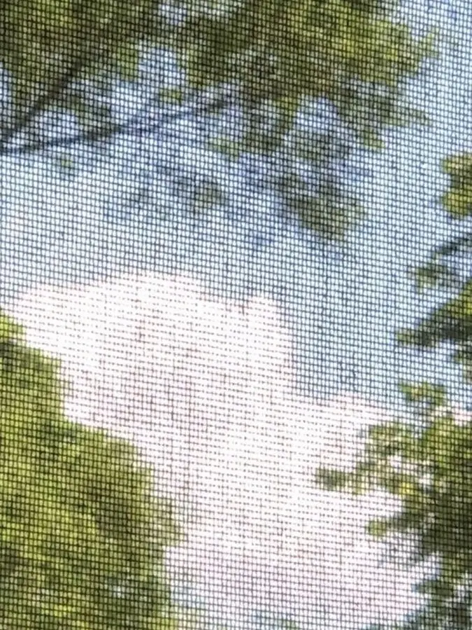 Nuemy의 뜰팁 정신병원