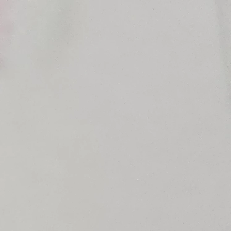 재난관리국에 신입이 되었다