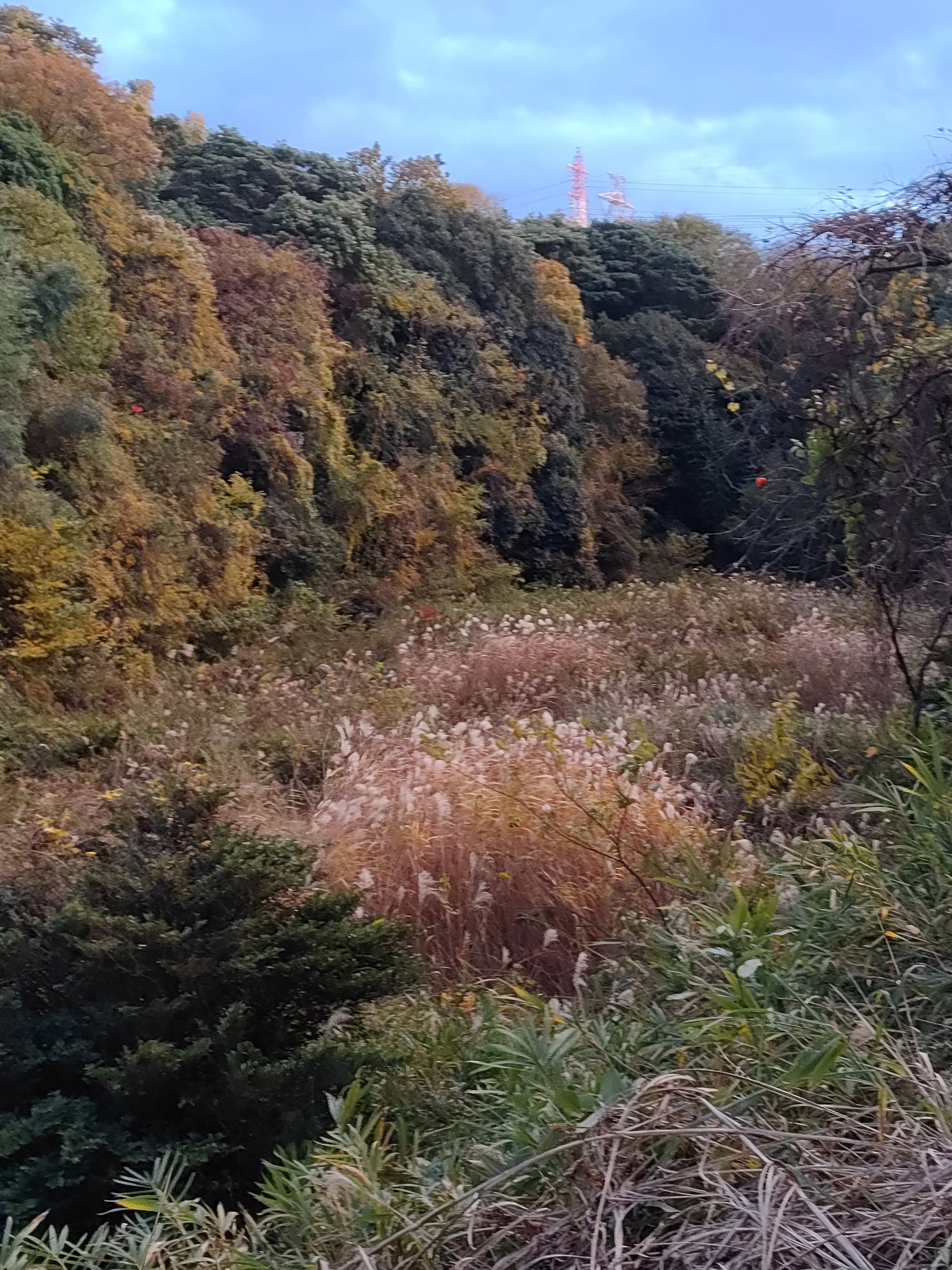 Yippy의 I Need a HAG🙃