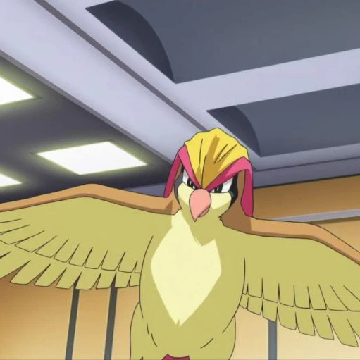 피죤투[Pidgeot]