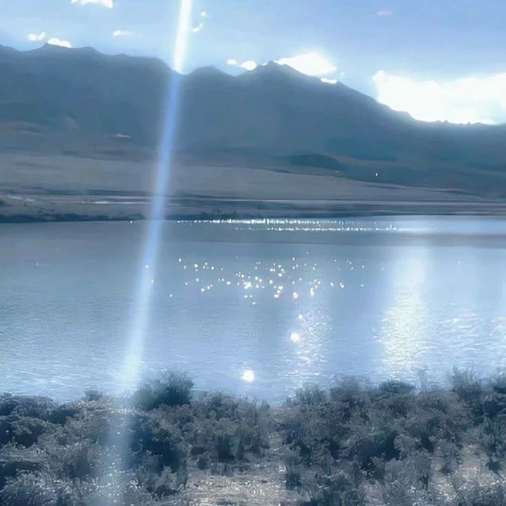 너의 강아지처럼 길들여줘