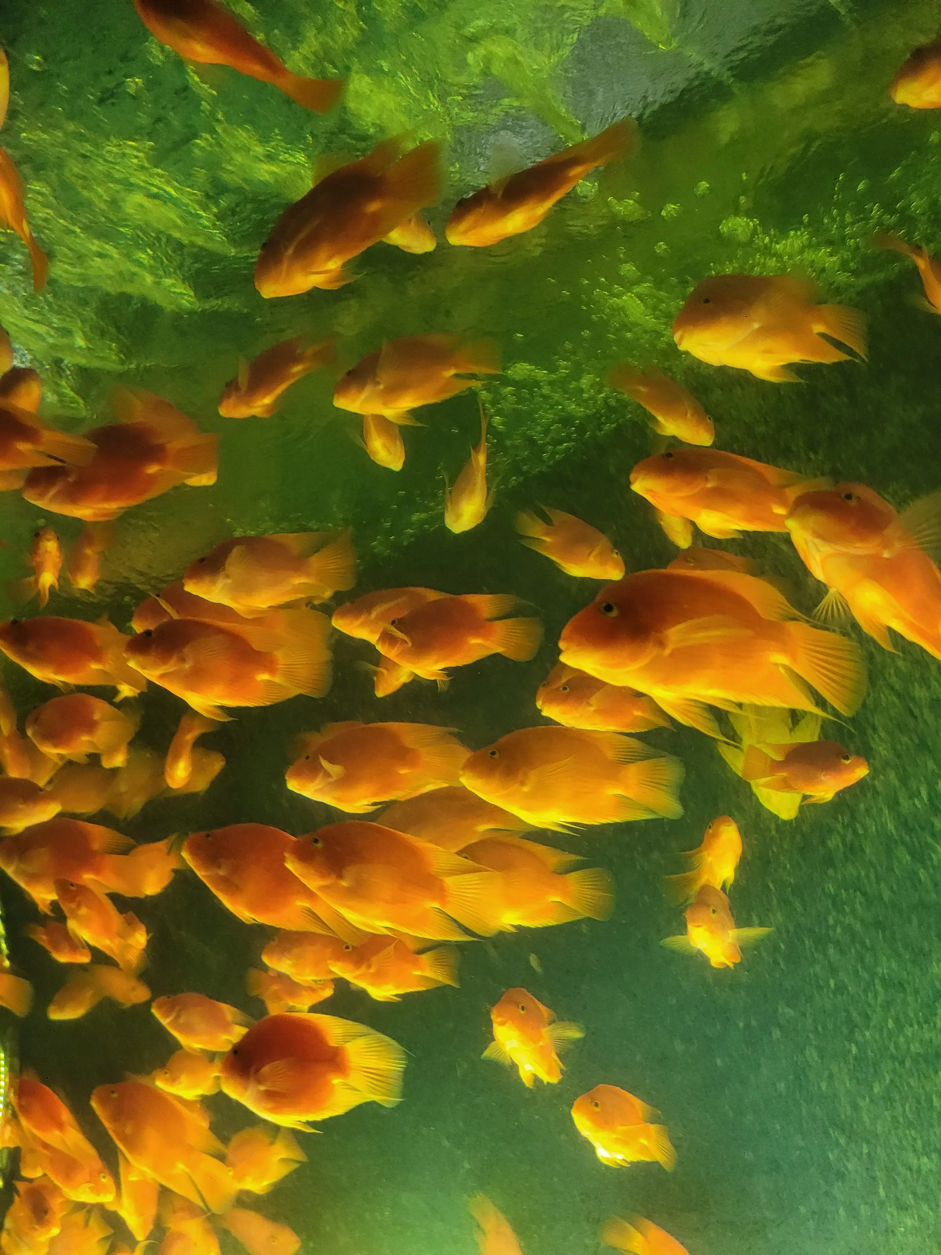 PortlyQuake7981의 세계관 합체 보너스2 시대 여행