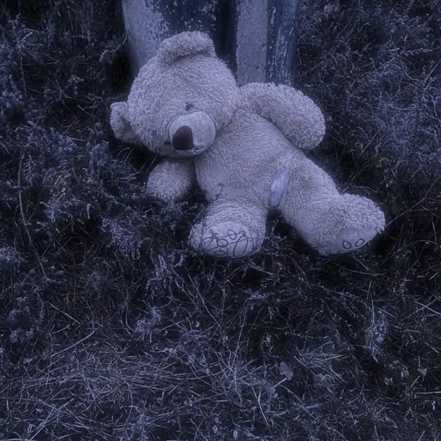 그의 곰인형.