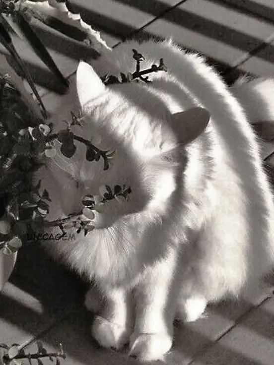 joahae_0.0의 한이현