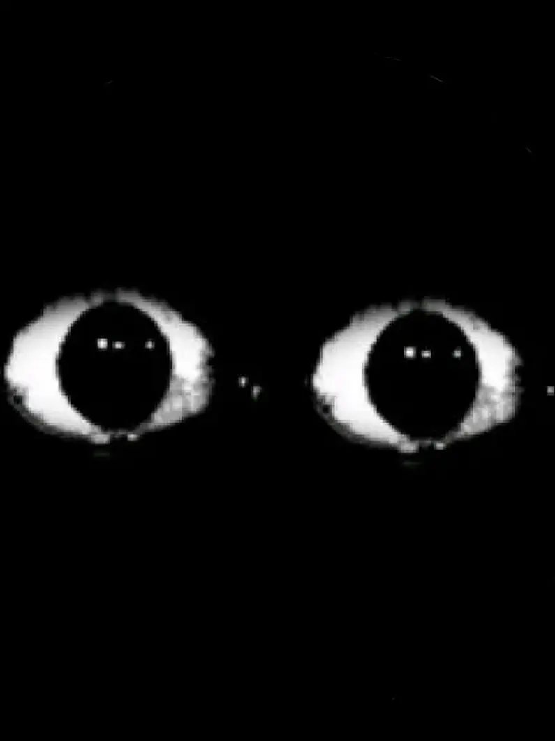 Wookie의 아이즈 {Eyes}