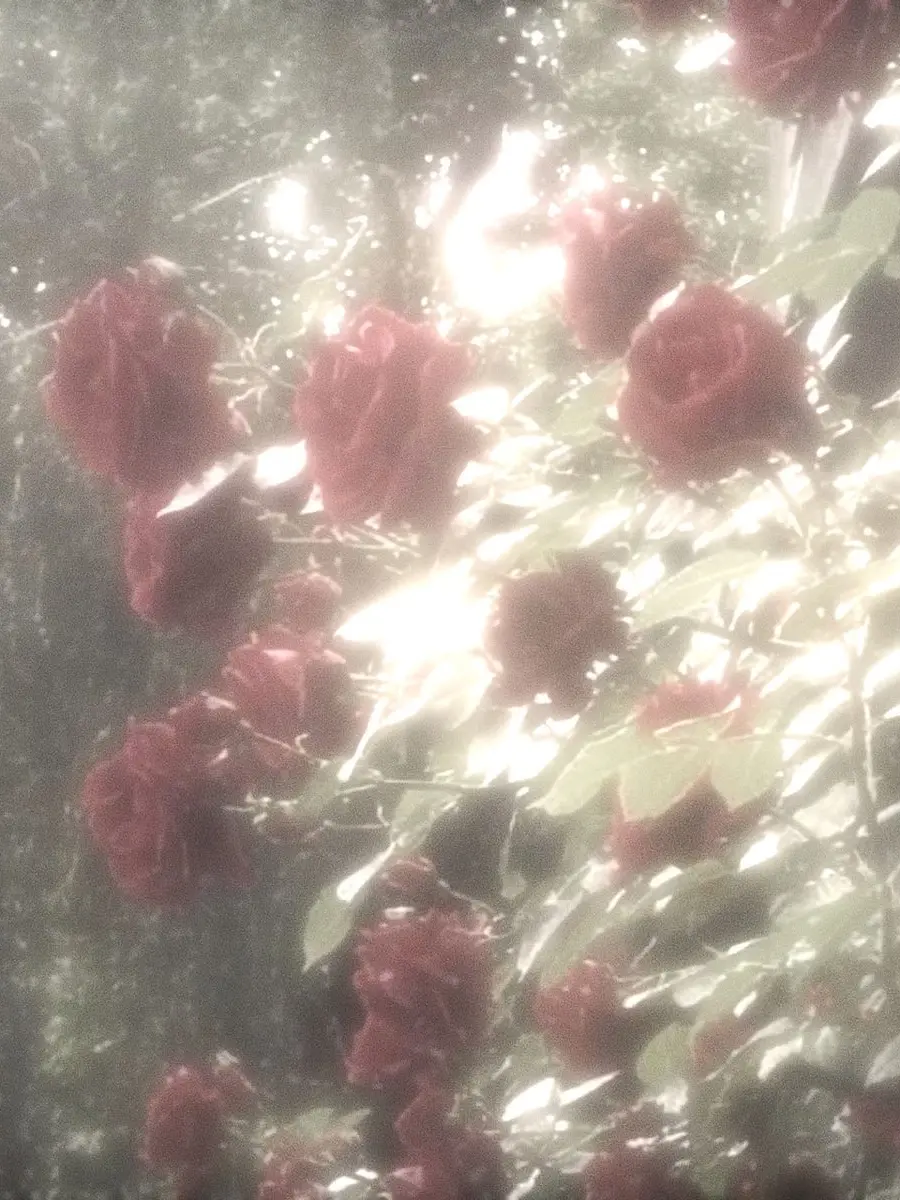 Kanae_074의 赤城ウェン