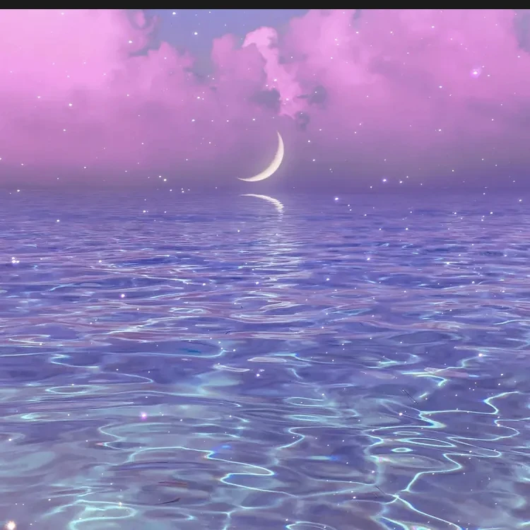 꽥꽥 탐험대 (여우)