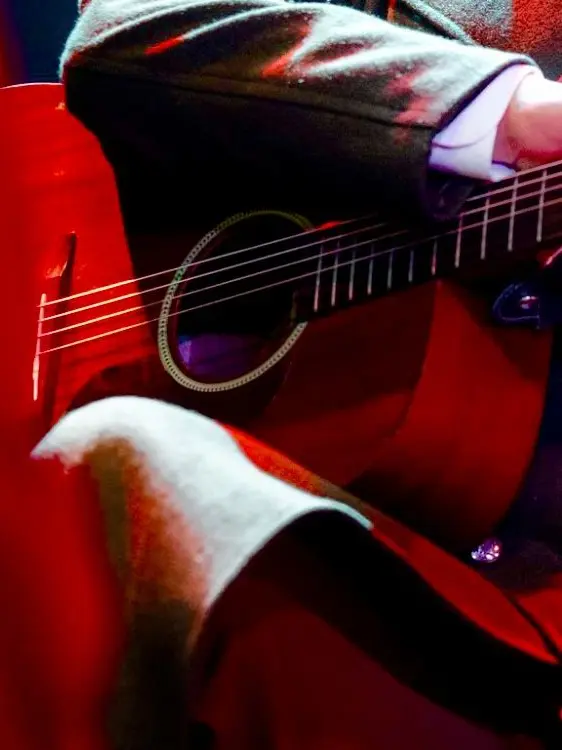 pluviophile의 VISITOR