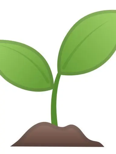 RapierFern1089의 🌱무럭무럭 씨앗 키우기!☀️