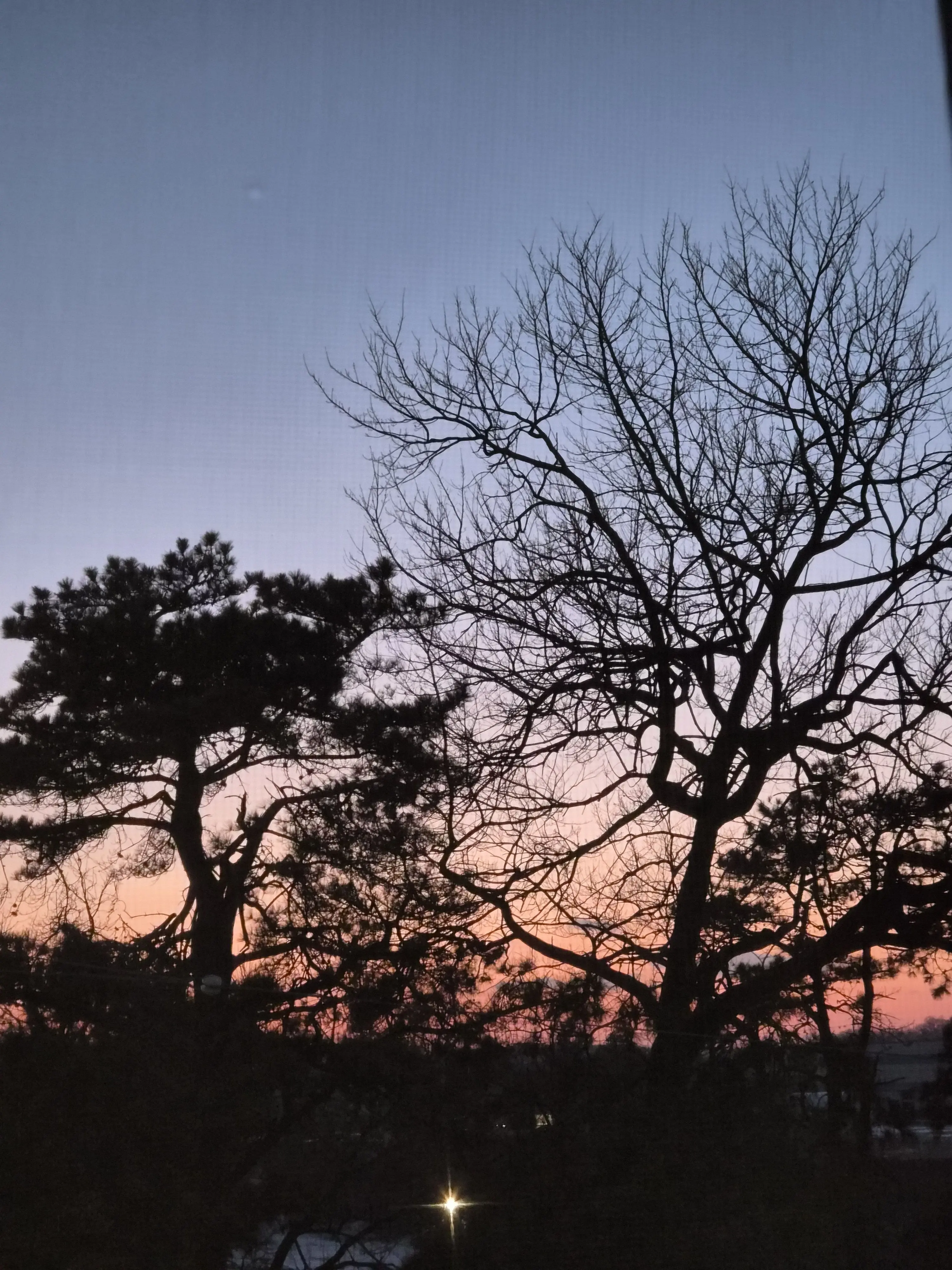 cloud_14의 [지박소년 하나코군]