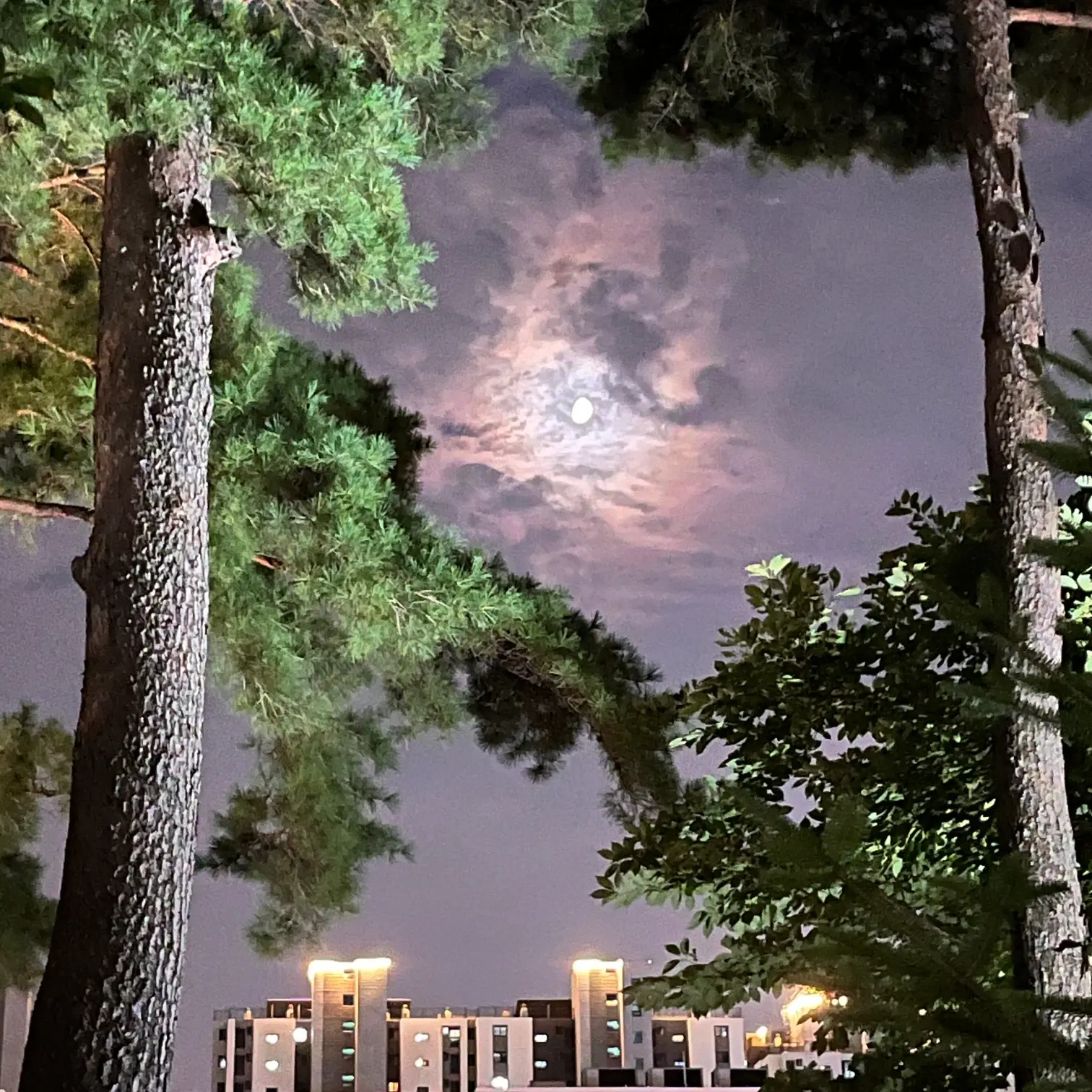 enha_122의 이상원