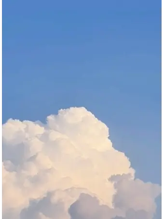 UnfitTank9543의 팀나빠🦊