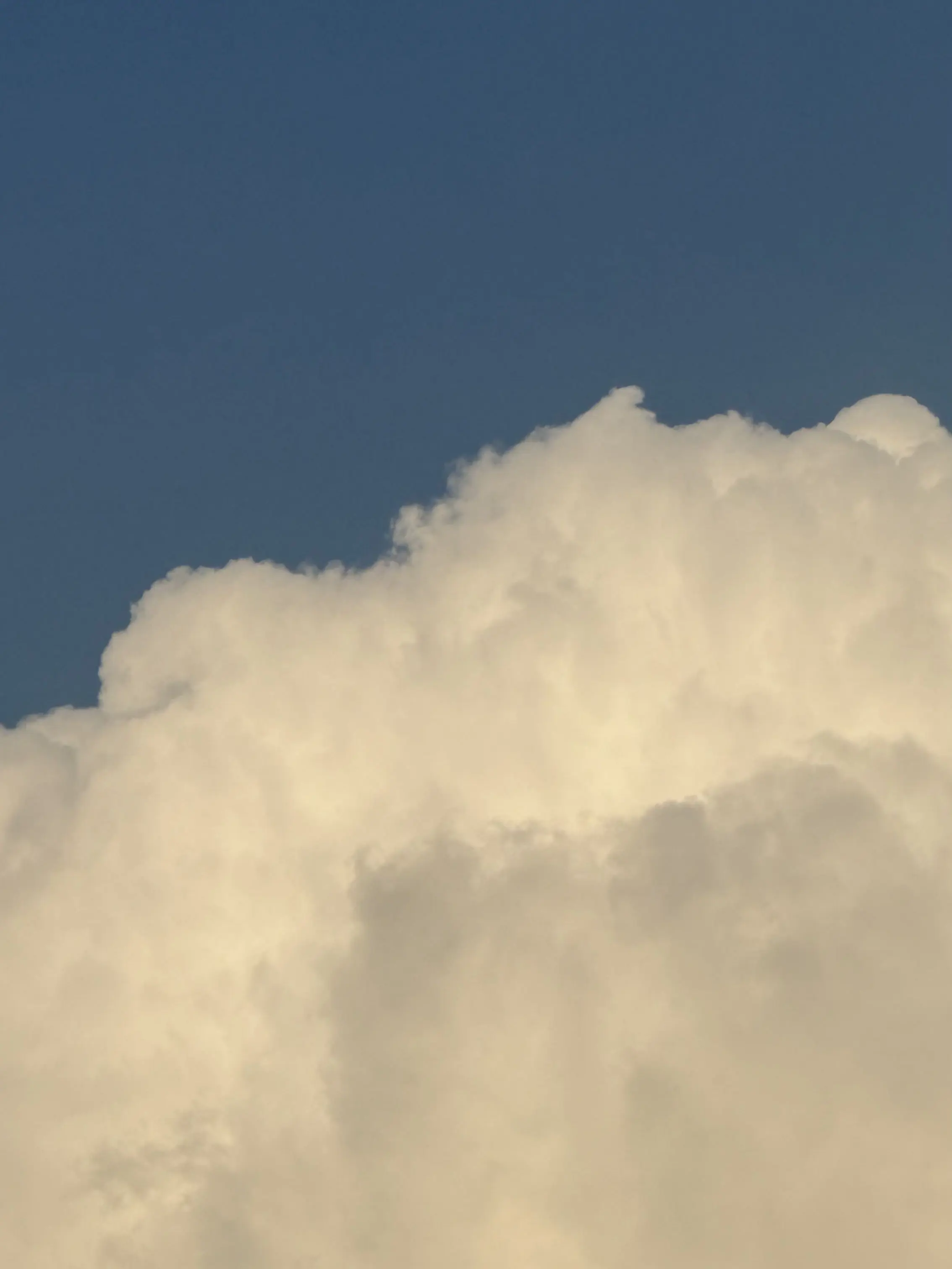 Nbnnnn의 둘 다 그만 ;;