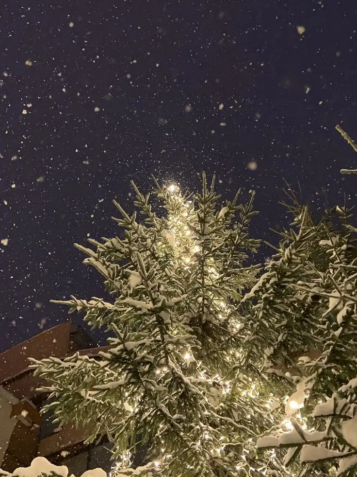 mya_mya_mya_mya의 [뜰팁] 금수저 아가씨