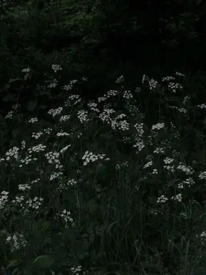 ChewyUrine6161의 그녀가 없는 세계는 곧 무너질것이야.