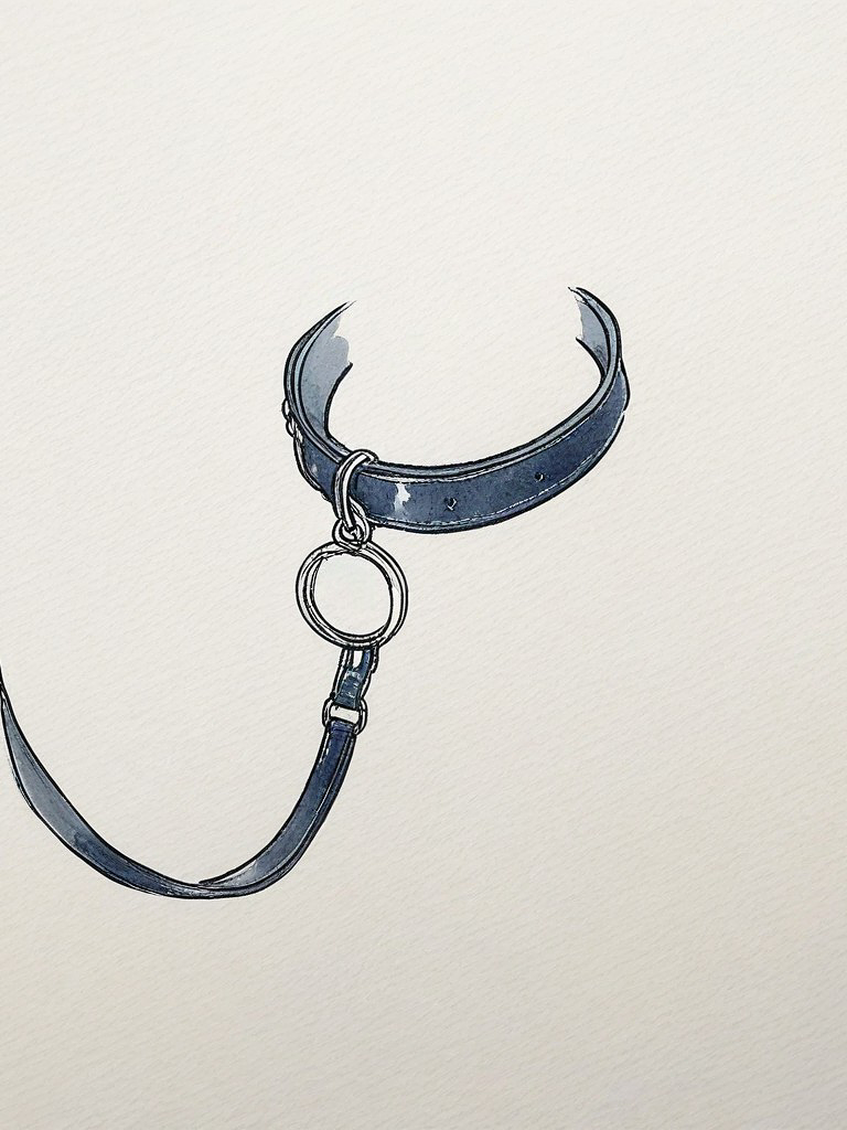 ℙ𝔸𝕍𝔼𝕃 대표 이미지