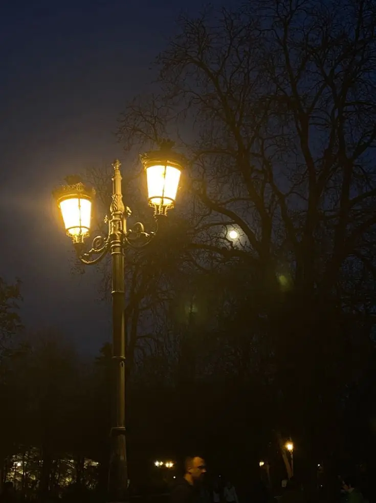 wjsjsjbshs의 패러다이스 / 픽셀리 조직