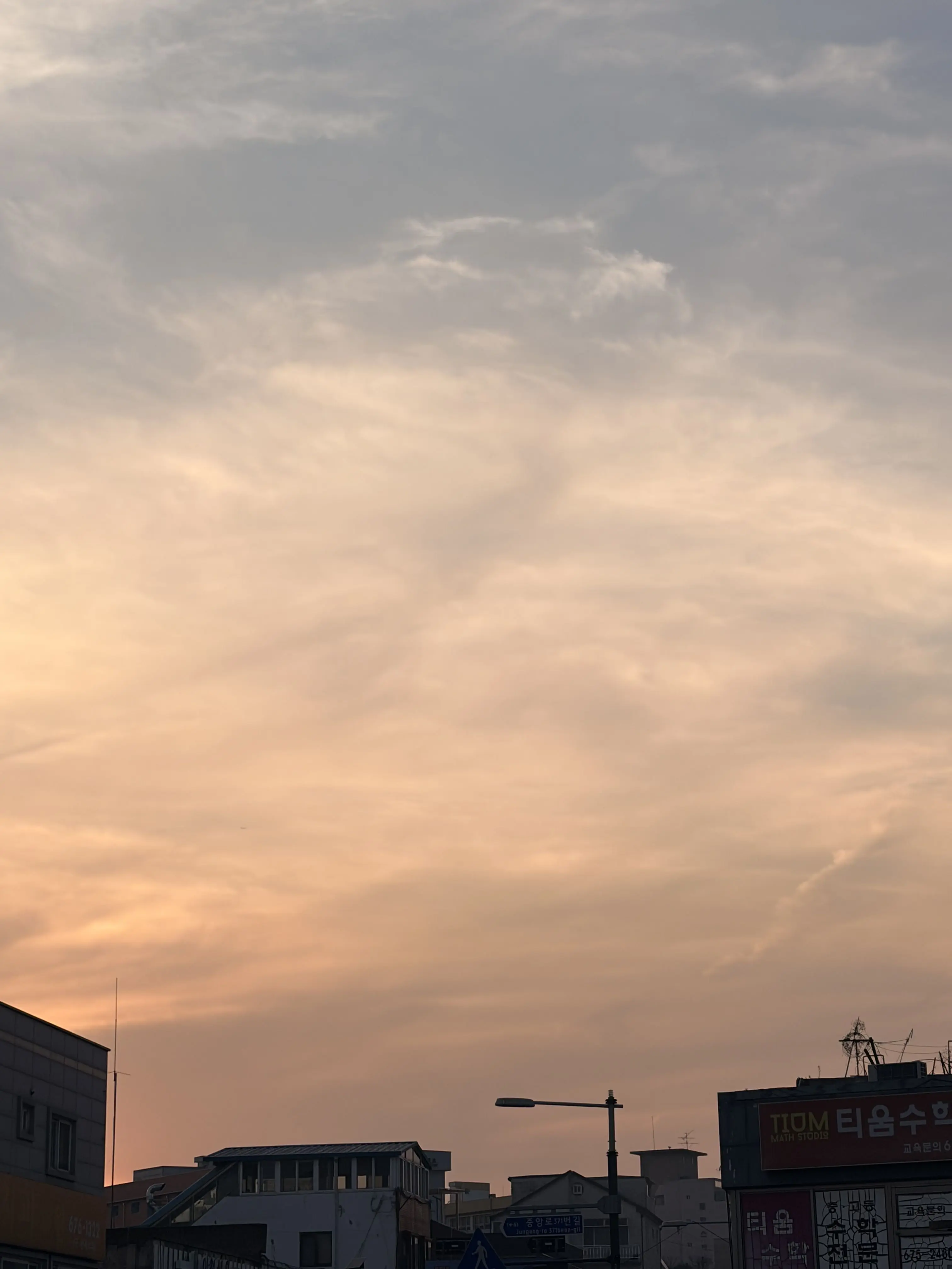 LovedWorm8959의 여우가 되;;