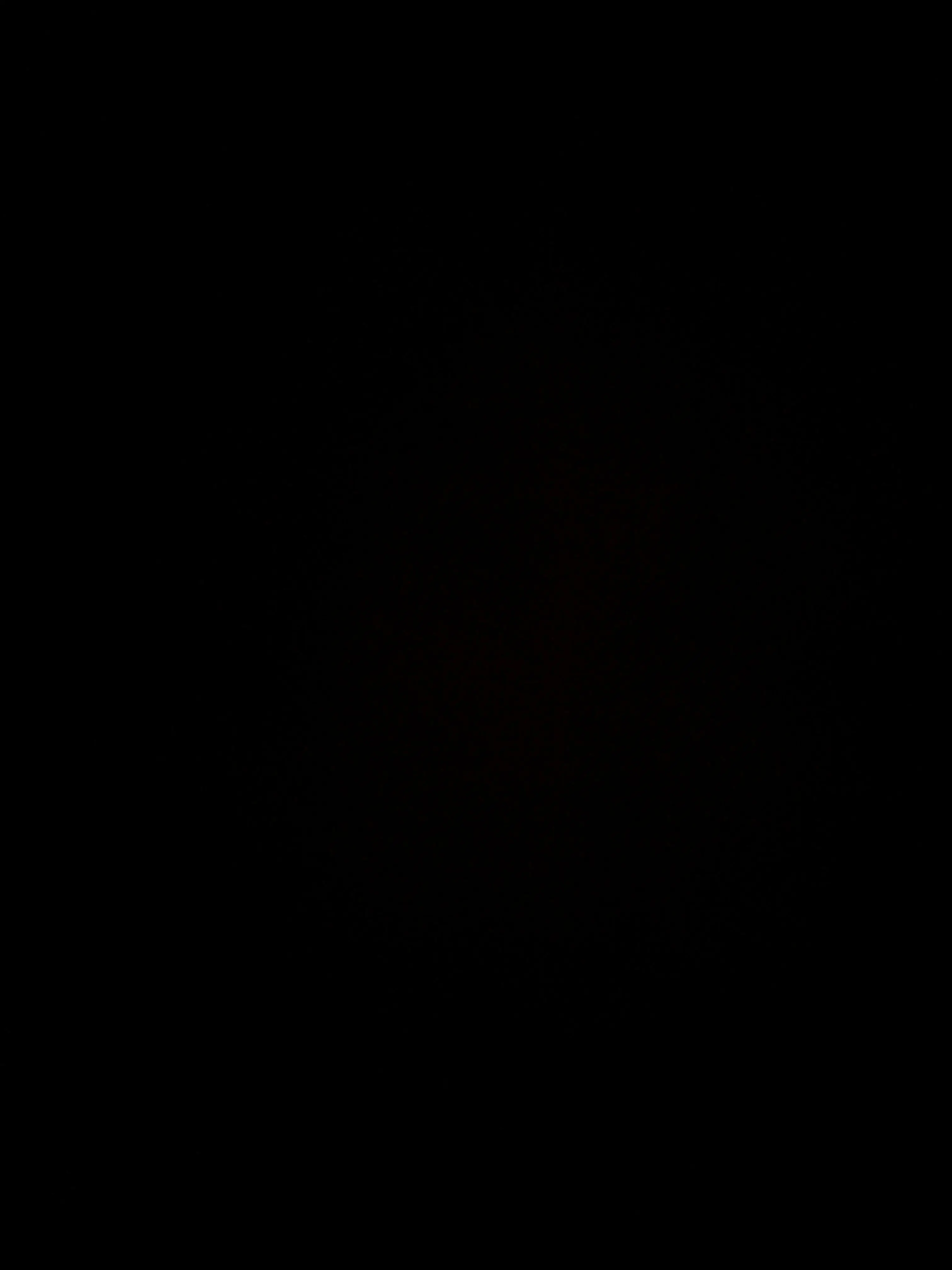 BaldZebu3683의 0810