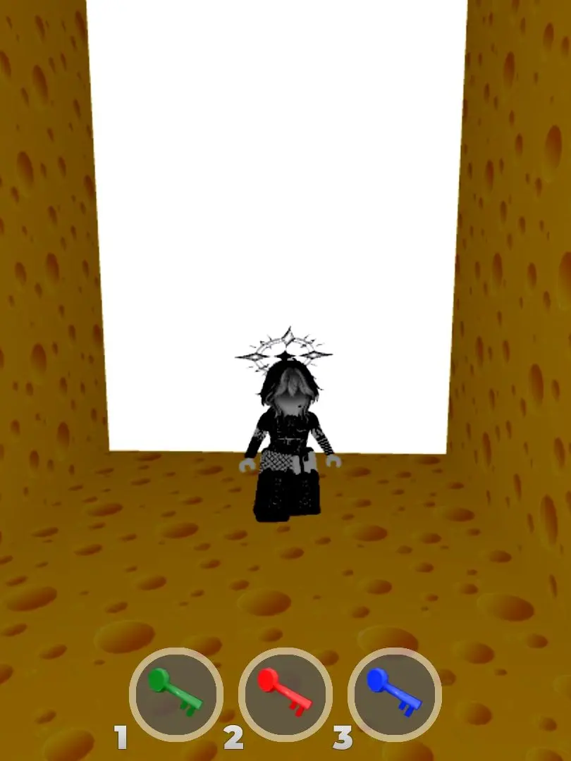 ohyoonj0529의 즈(내가만든 즈)