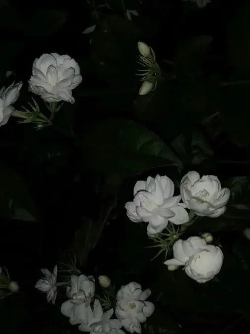 aku_0722의 鬱