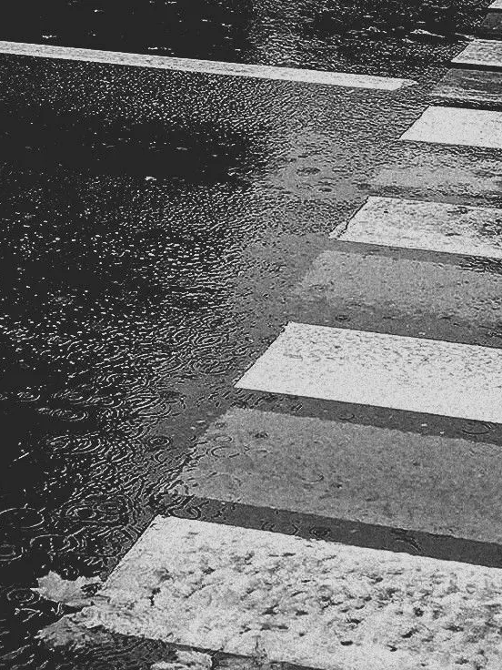 ku_nynag751의 차 사기 사건.