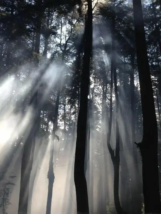 Lovelysweet의 제민